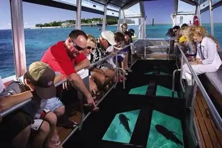 Glass bottom boat cruise and coral reef viewing